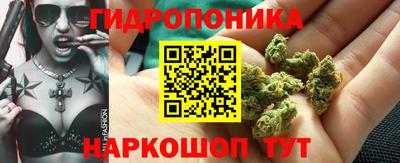 наркотики Брянск