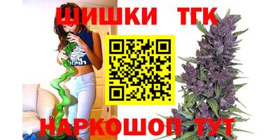 скорость Бердск