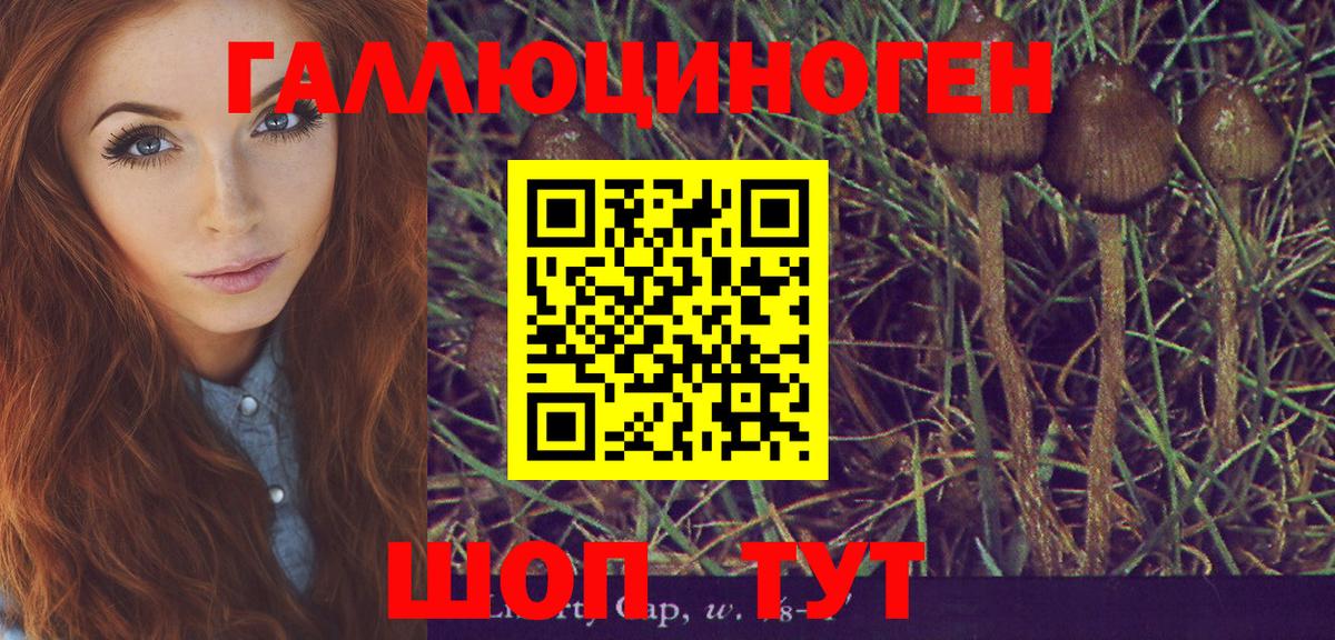 Псилоцибиновые грибы мицелий  Вход с VPN  Владивосток 