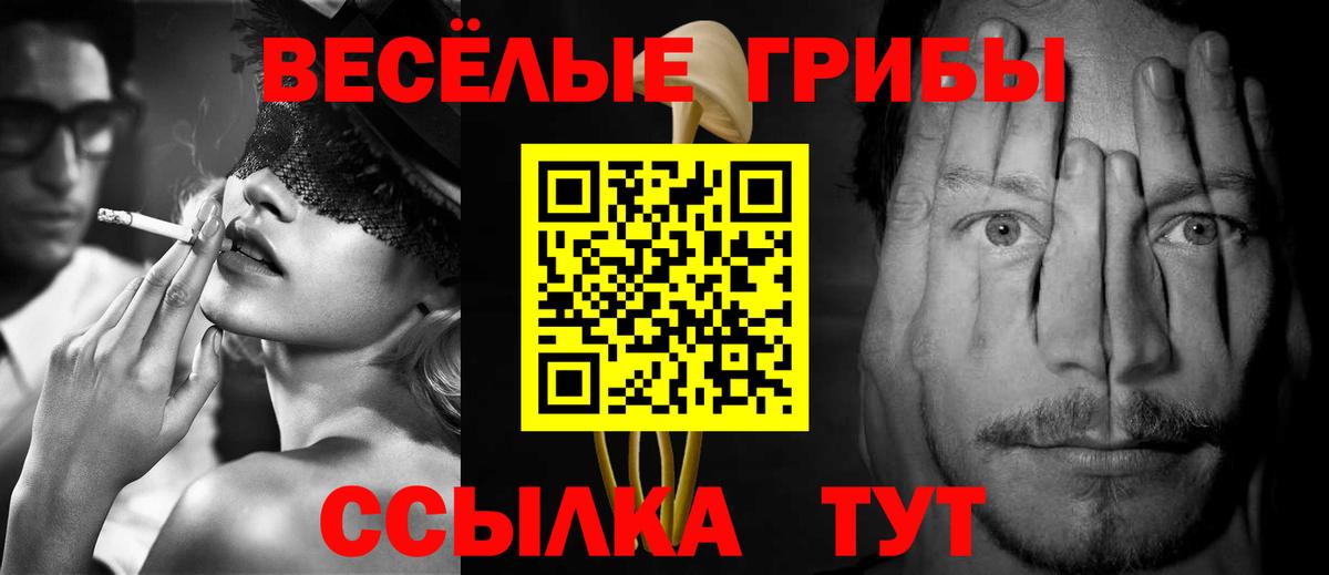 Галлюциногенные грибы Cubensis Владивосток